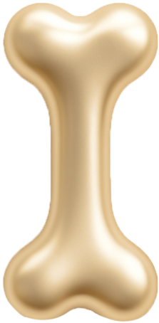 Боли в костях и мышцах