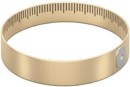 Метаболизм и поддержание здорового веса