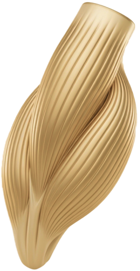 Здоровье костей и мышц