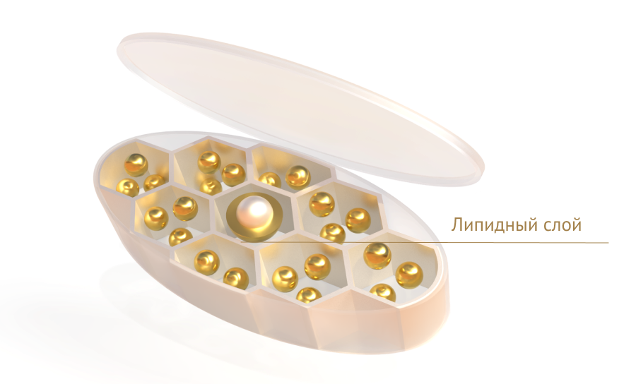 Состав таблетки