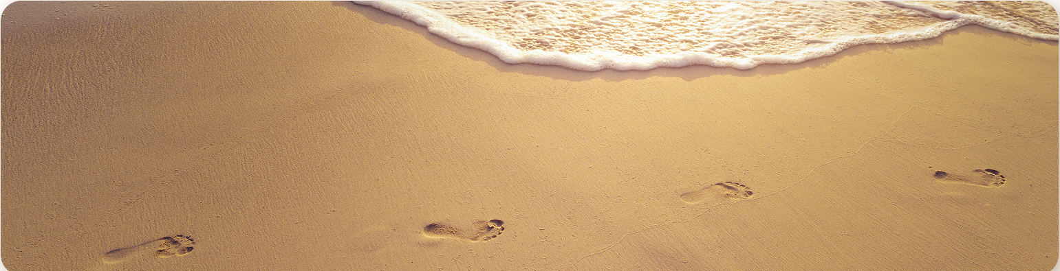 Общие сведения о витамине D